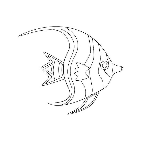 600x600 Free Beautiful Moon Fish Sea Animals Coloring Page