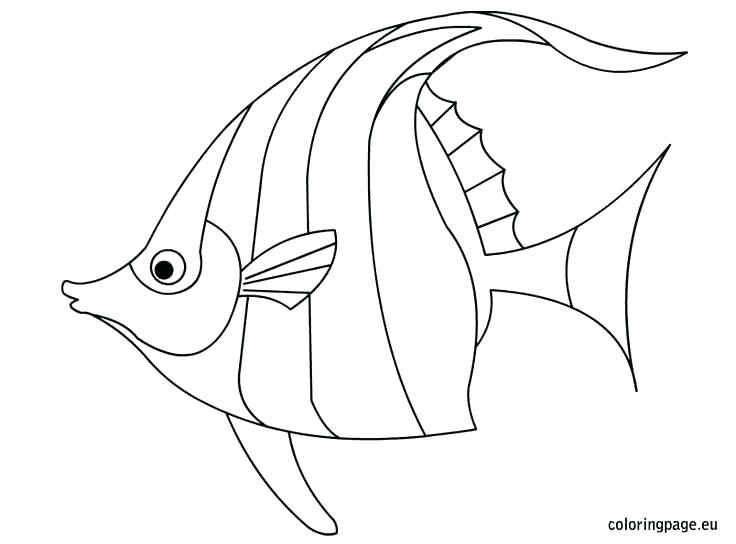736x544 Luxury Fish Coloring Pages Or Fish 28 Koi Fish Coloring Pages