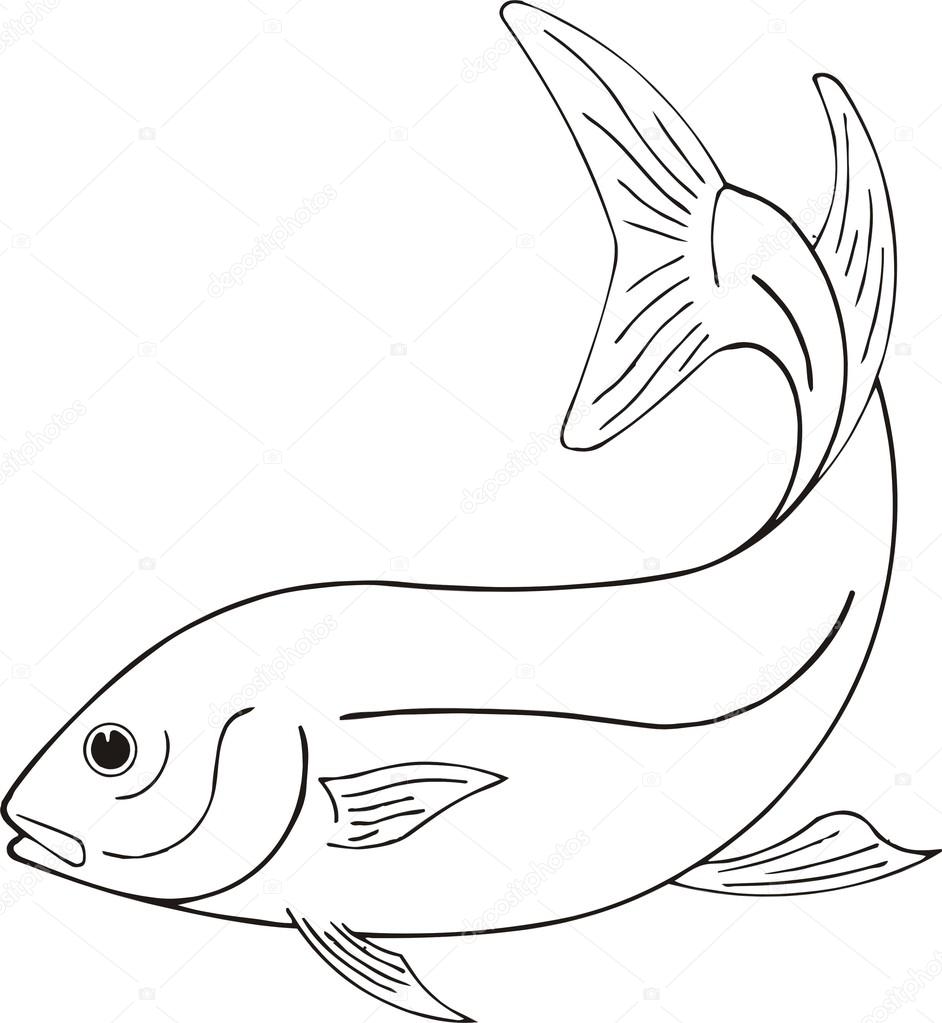 942x1023 Beautiful Fish Vector Stock Vector Princessart