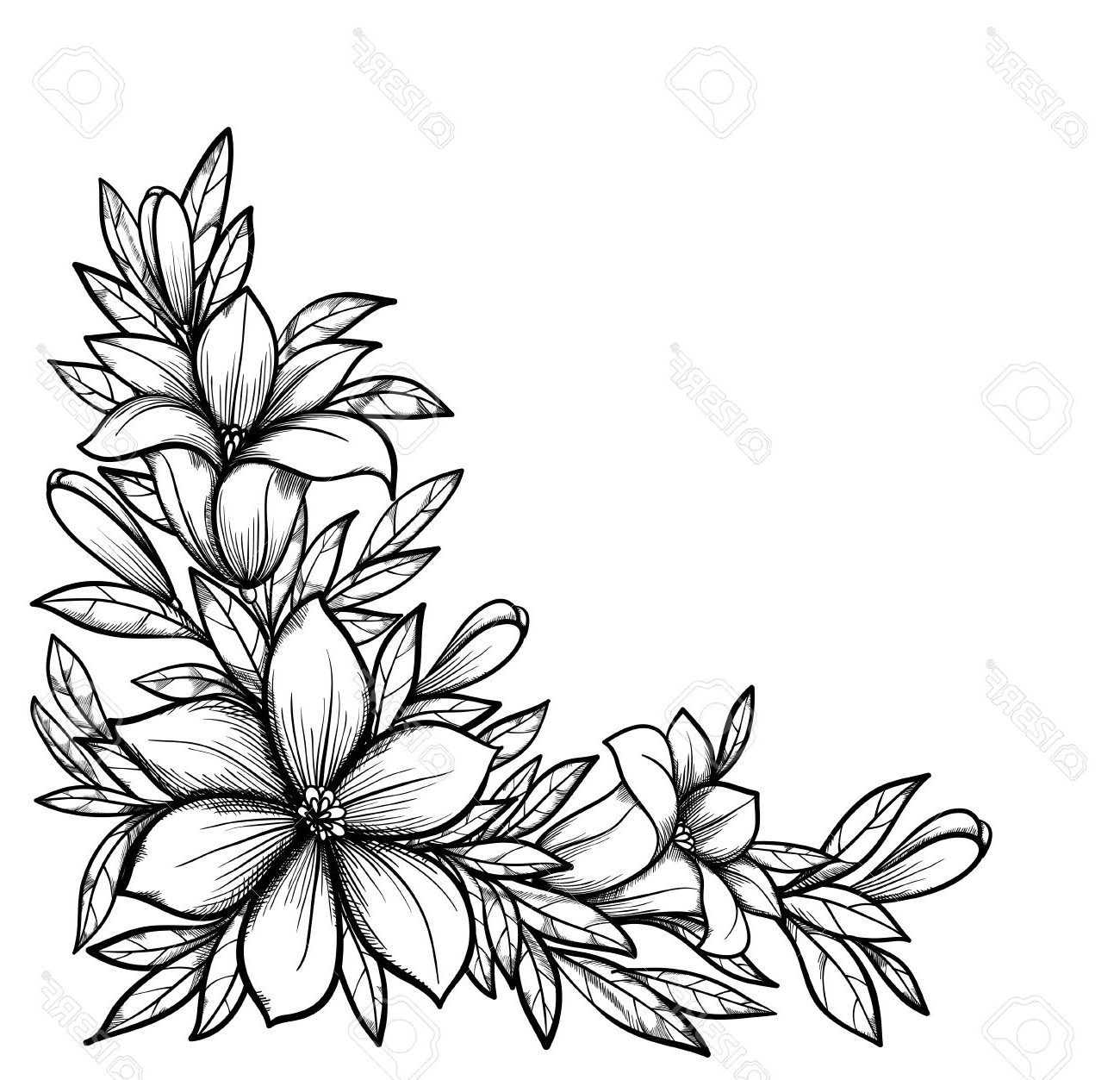 1300x1253 Beautiful Flowers Drawing How To Draw Beautiful Flowers Yzarts