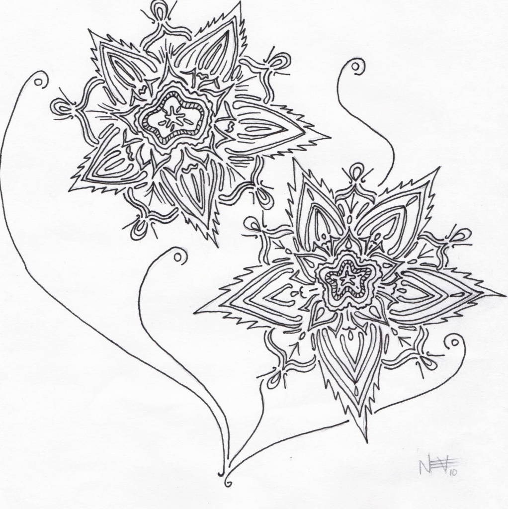 1022x1024 Drawings Of Different Flowers Pictures Of Flowers To Draw