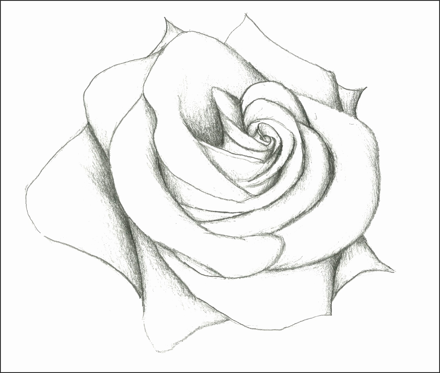 1536x1301 How To Draw Pretty Flowers Sjxse Best Of Beautiful Flowers Amp Easy