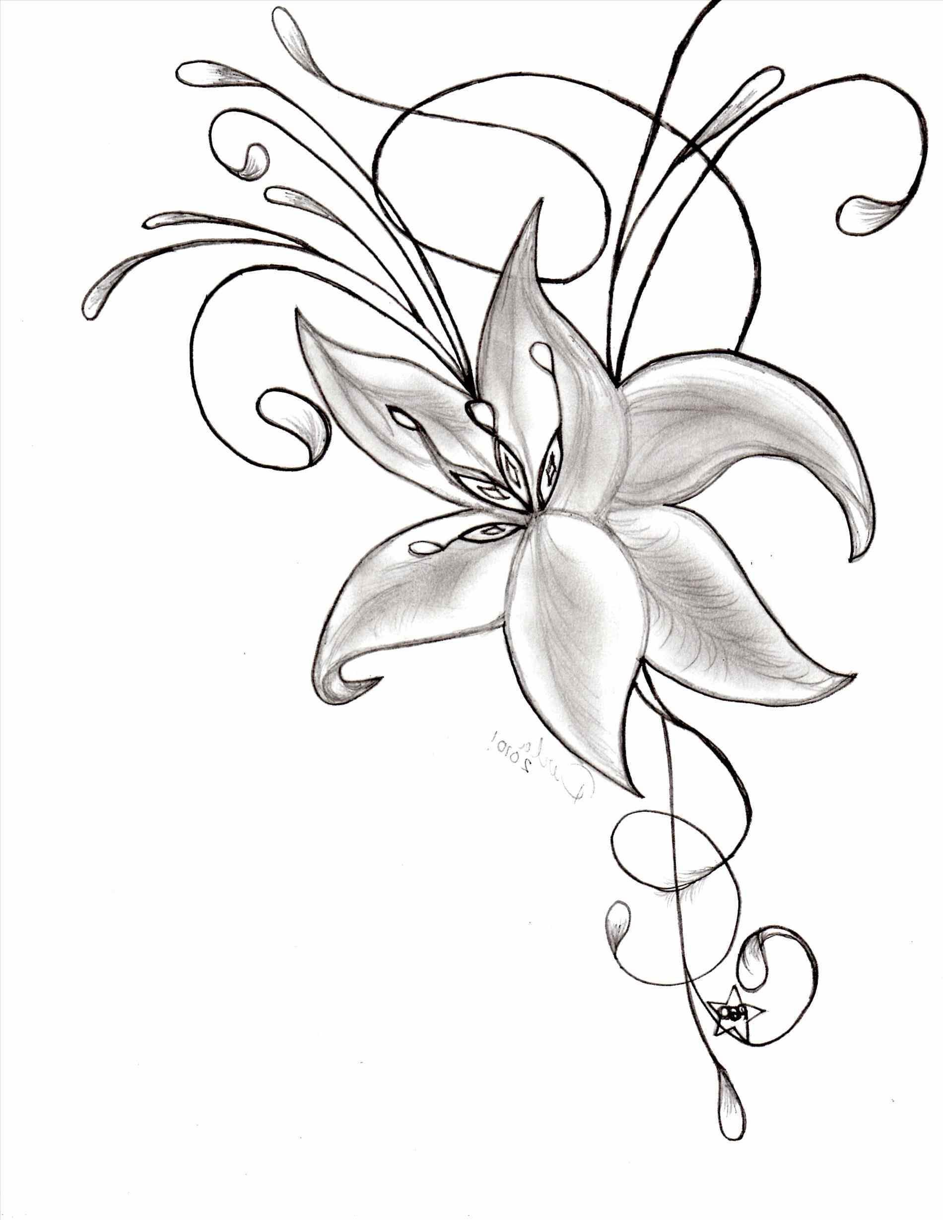 Beautiful Flowers Drawing at GetDrawings | Free download