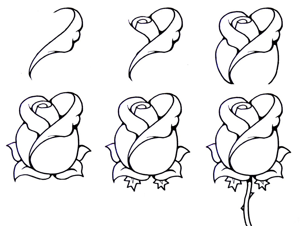 Beautiful Flowers Drawing Step By Step at GetDrawings Free download