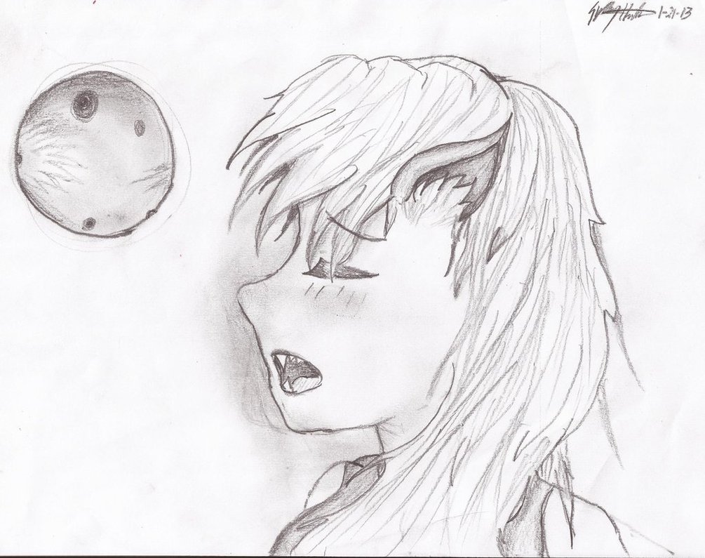 1005x795 Beautiful Anime Wolf Girl By Sydyshada