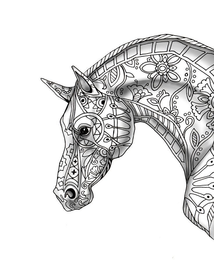 Beautiful Horse Drawing