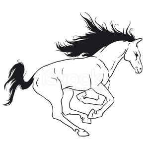 300x300 Beautiful Horse Stock Vectors