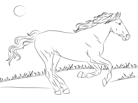 480x358 Beautiful Mustang Horse Coloring Page Free Printable Coloring Pages