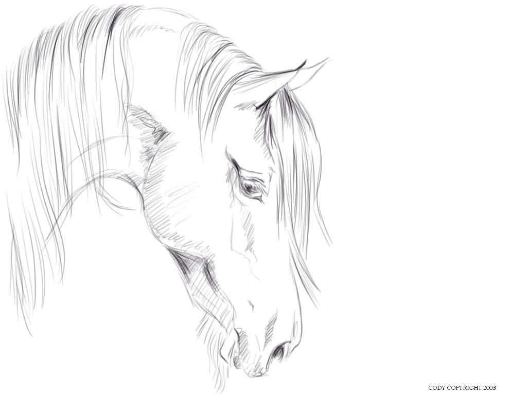 1024x768 A Quick Sketch Of A Tree Horse. Description From Aikya.
