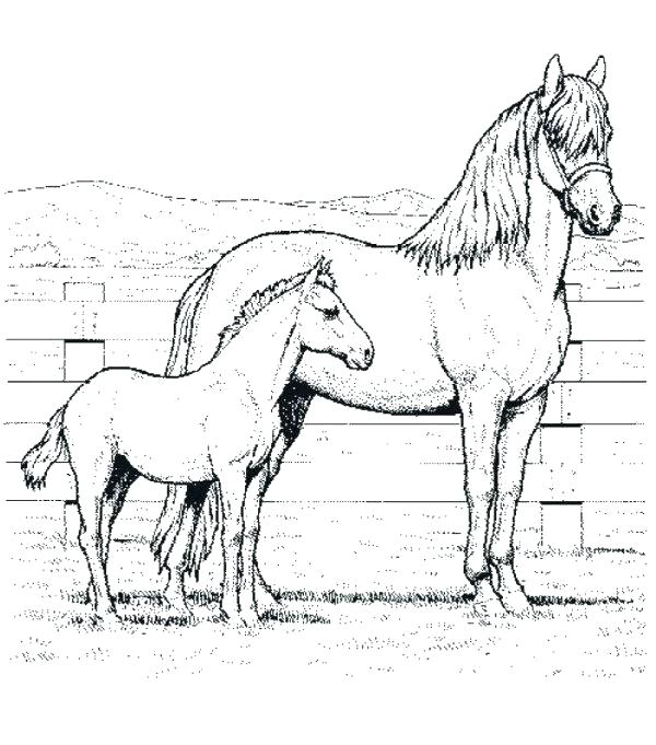 600x681 Horses Coloring Page Horse Coloring Pages Horse Coloring Sheets