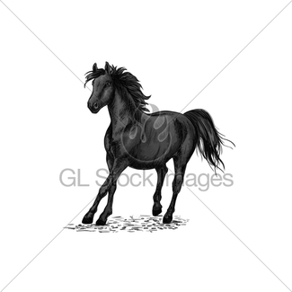 325x325 Stylized Black Beautiful Horse Gl Stock Images