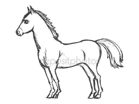 449x337 Beautiful Horse From Side Stock Vector Perysty