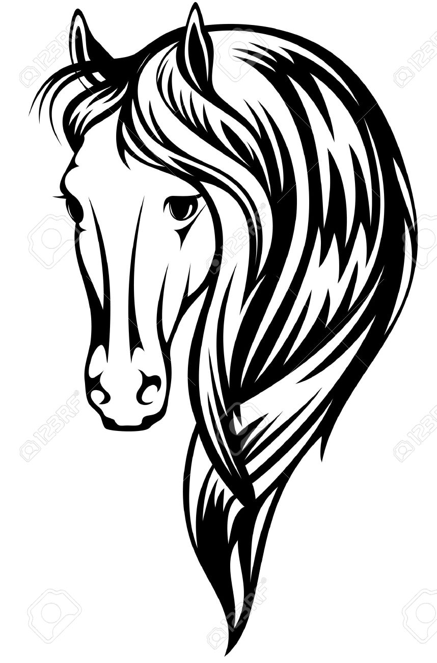 858x1300 Beautiful Horse Illustration