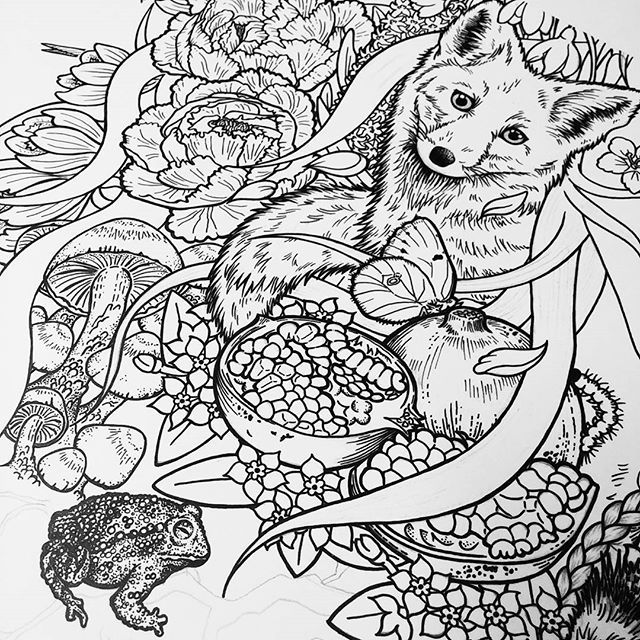 Beautiful Nature Drawing