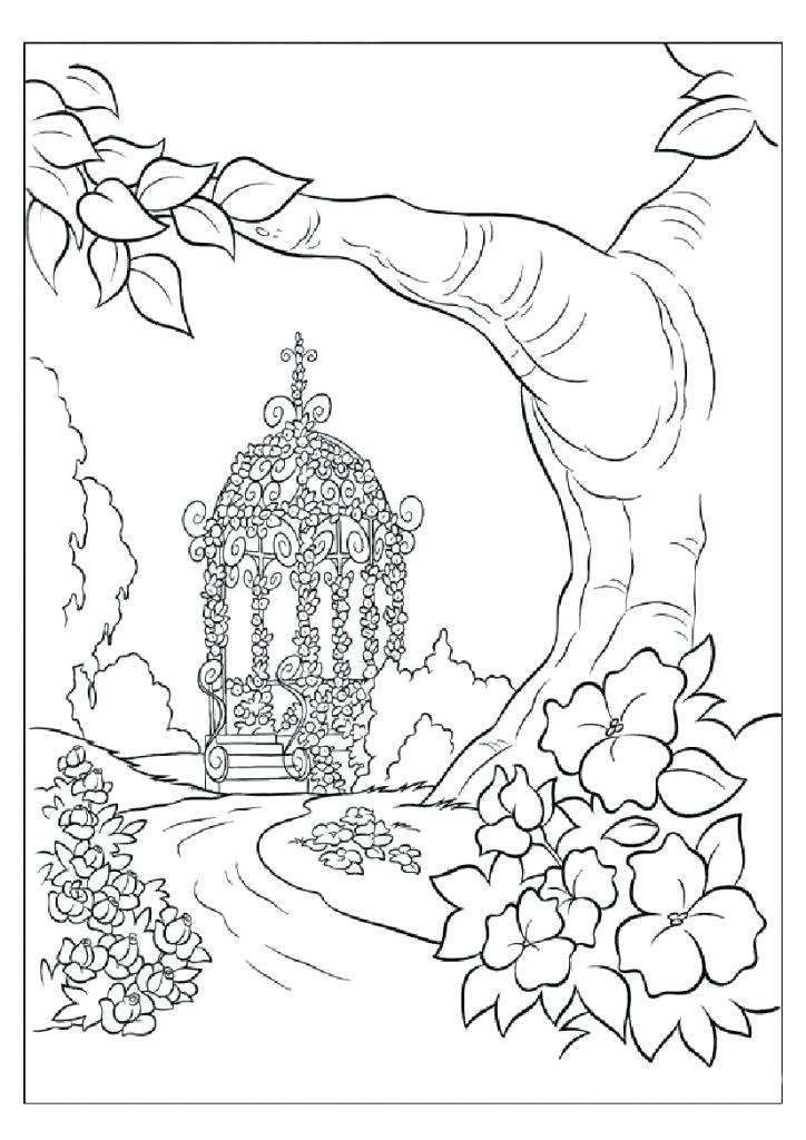 724x1024 Nature Coloring Beautiful Nature Coloring Nature Coloring Pages