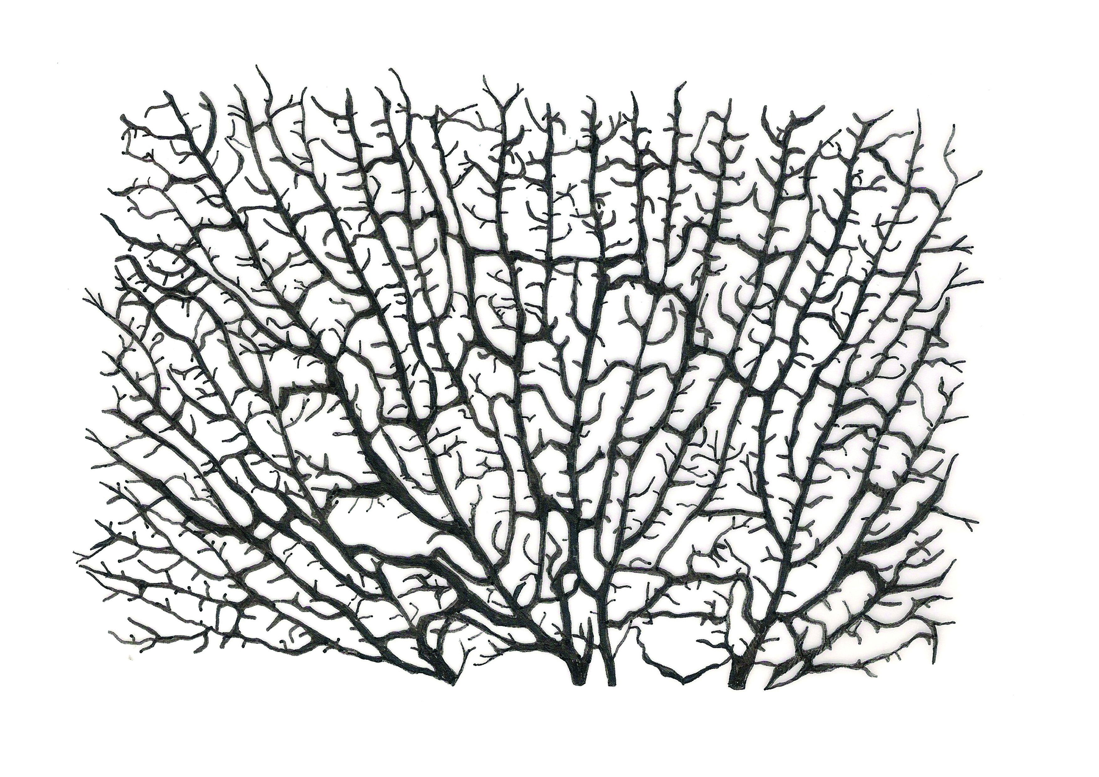 3508x2480 Types Of Nature Drawing Landscapes For The Absolute Beginner Types