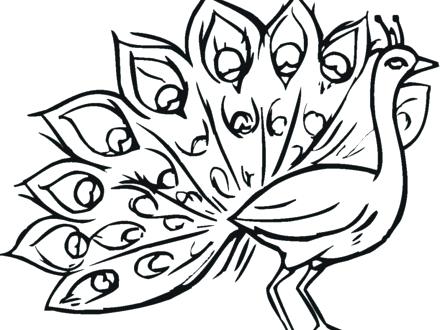 440x330 Coloring Pages Peacock Beautiful Peacock Coloring Page