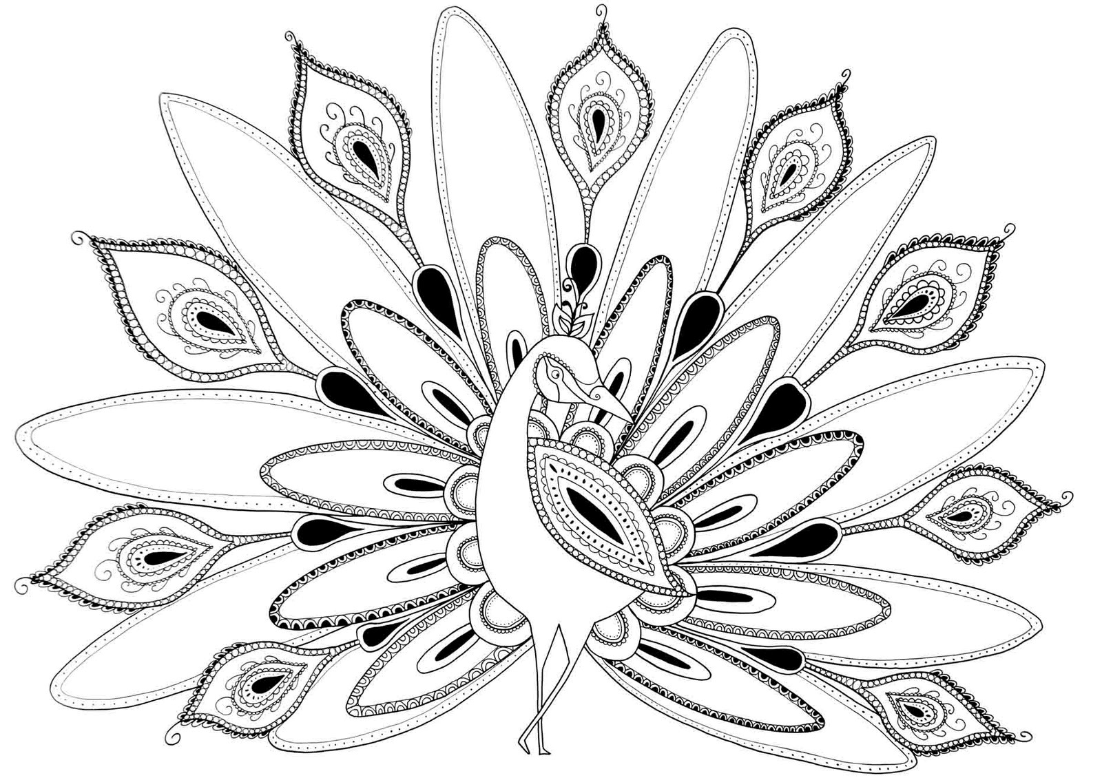 1600x1133 Monumental Peacock Coloring Page Beautiful 51 On Cute Pages