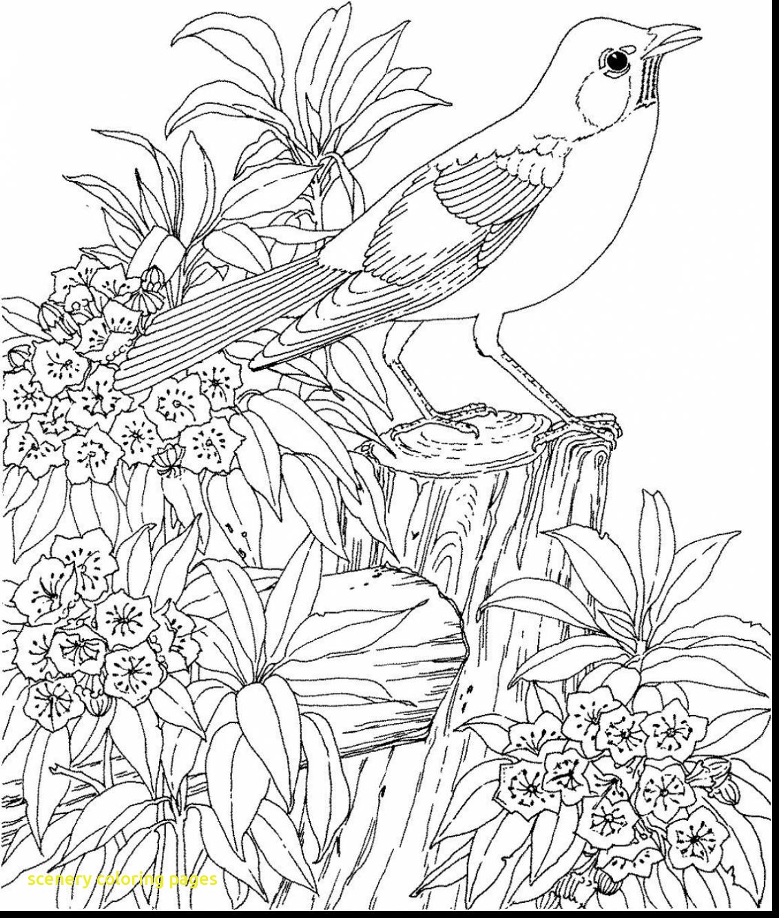 Printable Coloring Pages Nature