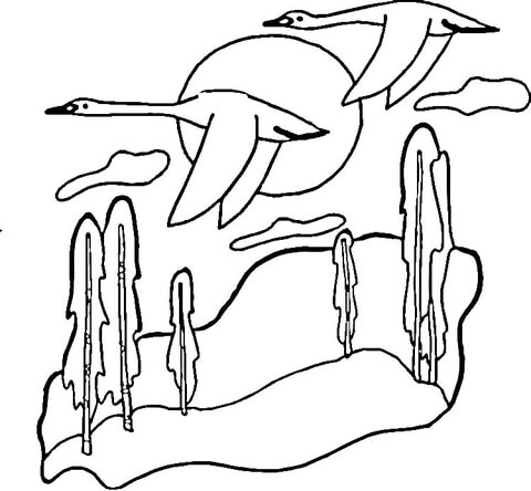 480x444 Flying Swans With Beautiful Sunset View Coloring Page