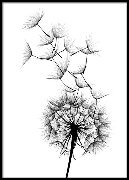 432x600 Dandelion Sketch