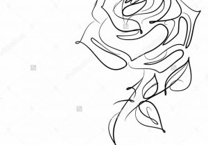300x210 Beauty And The Beast Rose Drawing