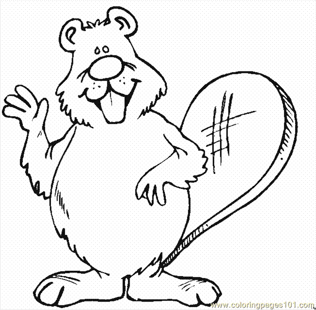 650x638 Beavers2 Coloring Page