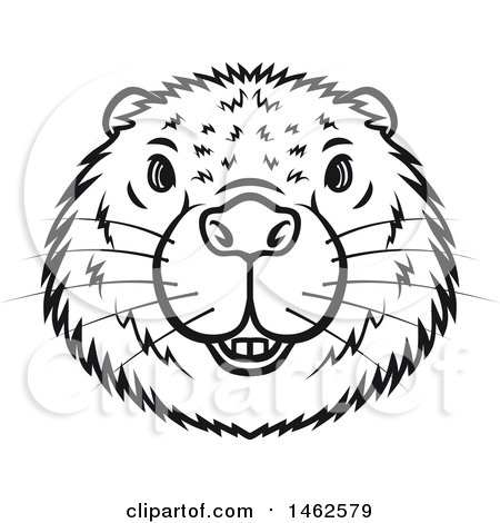 450x470 Clipart Of A Black And White Beaver Mascot Face