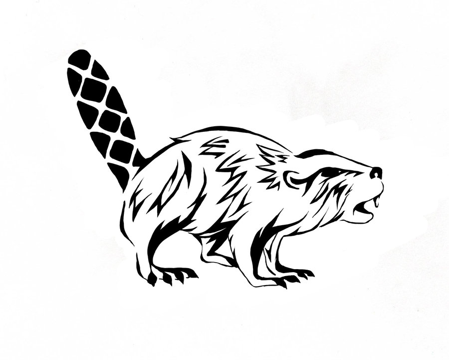 beaver-drawing-33.jpg