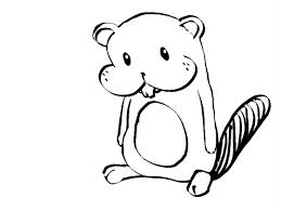 259x195 Simple Beaver Drawing