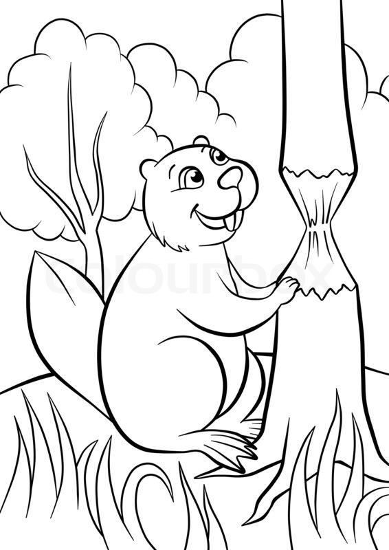 566x800 Happy Little Beaver In The Forest Coloring Stock Photo Colourbox
