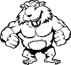 300x275 Muscular Beaver Decal Car Or Truck Window Decal Sticker