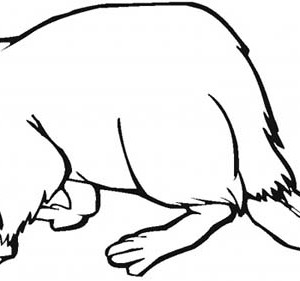 300x281 Online Free Coloring Pages For Kids