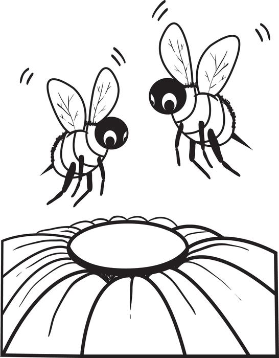 546x700 Free, Printable Bee Coloring Page For Kids