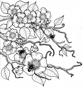 284x300 Bee Flower Drawing Animated Bee Clip Art