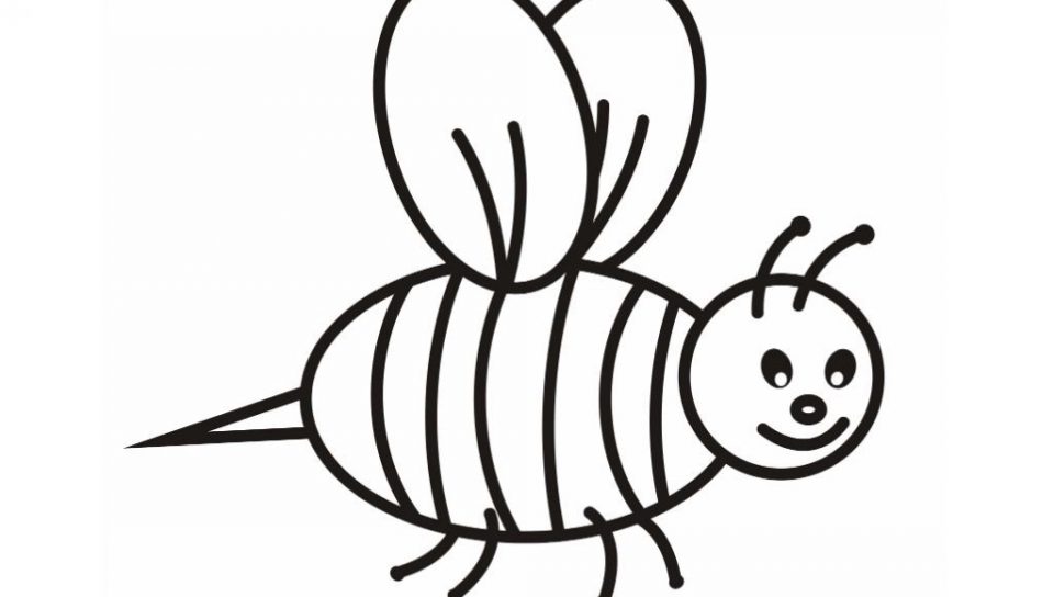 960x544 Coloring Pages Bee To Print For Preschool Bumble And Printable