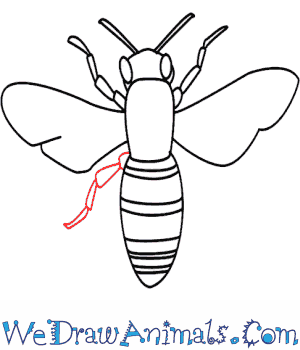 300x350 How To Draw A Bee