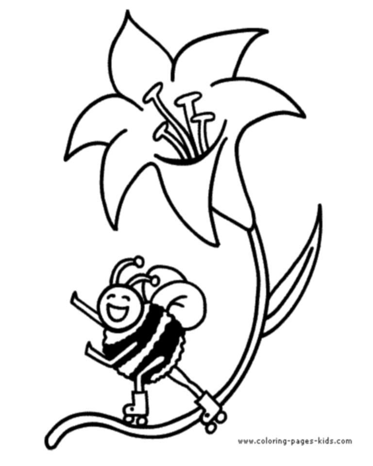 768x960 Bee Coloring Pages