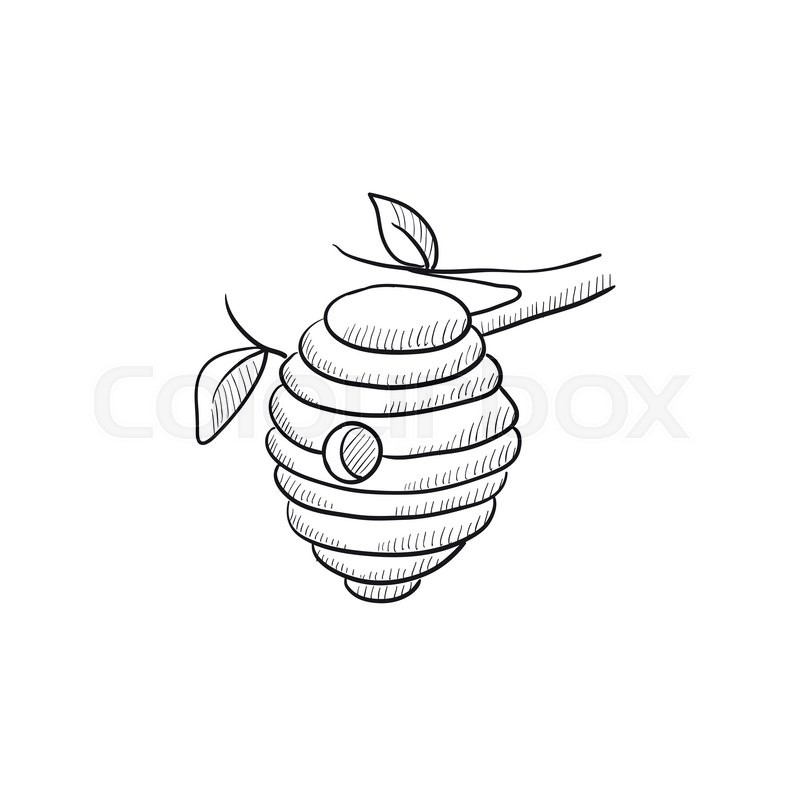 800x800 Bee Hive Sketch Icon For Web, Mobile And Infographics. Hand Drawn