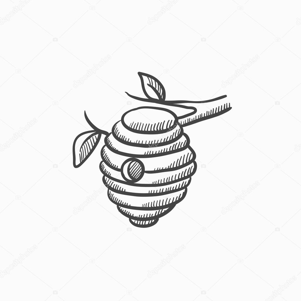 1024x1024 Bee Hive Sketch Icon. Stock Vector Rastudio