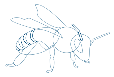 400x272 How To Draw A Bee Sketchbook Challenge 1
