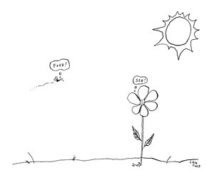 300x253 Bee Drawings Fine Art America