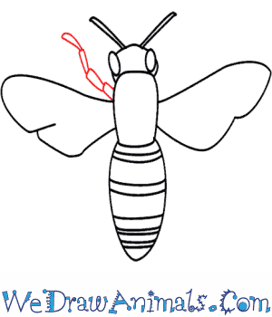 300x350 How To Draw A Bee