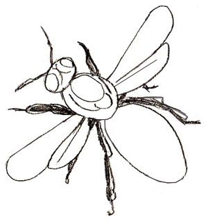 300x319 How To Draw A Bee, Step 4 Art Bees, Doodles
