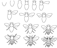 243x207 Image Result For Honey Bee Line Drawing Bee Bees