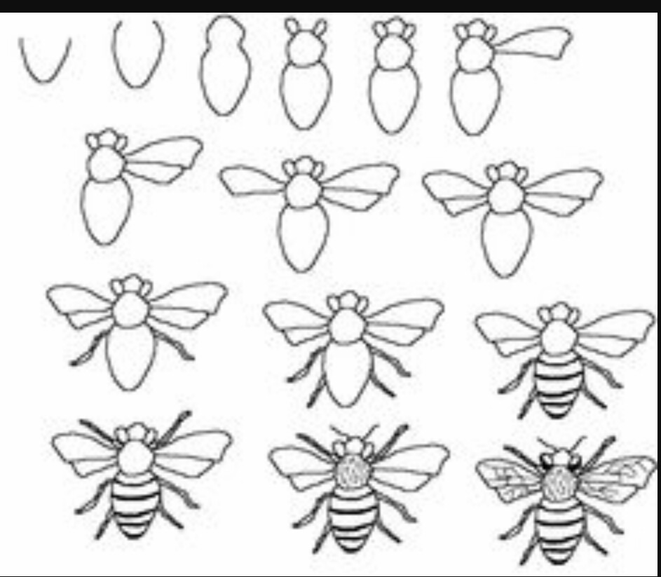 943x823 Pin By Amanda Davidson On Zentangle Bees, Drawings