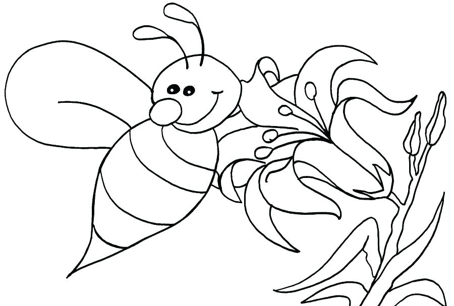 900x607 Bee Coloring Pages To Print Honey Page Drawing Kids