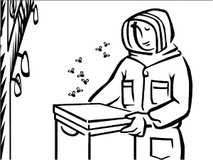 300x225 Bee Coloring Pages, Educational Activity Sheets And Puzzles Free