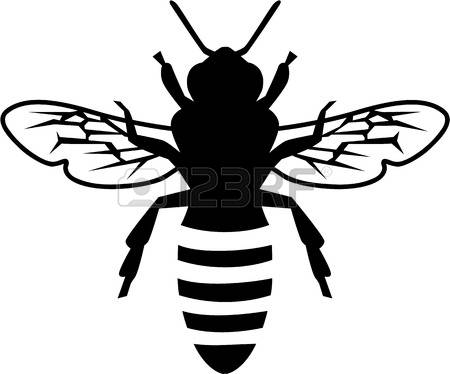 450x374 Image Result For Honey Bee Line Drawing Lino