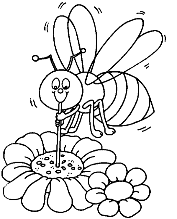 600x740 Bee Polutting Flower Coloring Page To Print Or Download For Free
